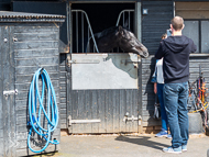 PN170422-186 - Paul Nicholls Stable Visit